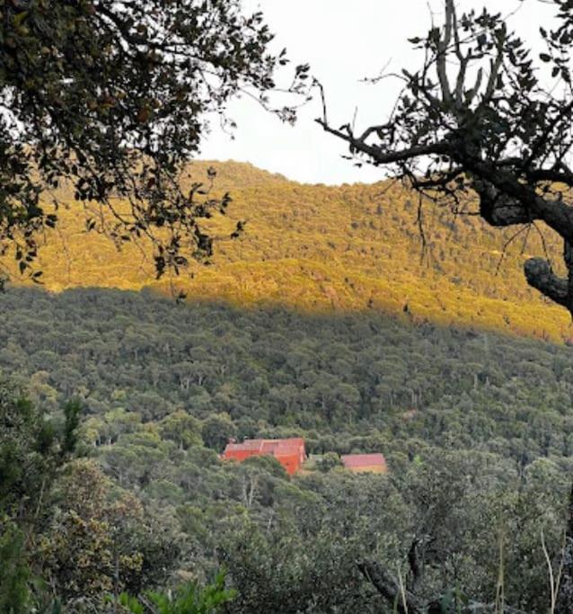 Masia Can Castellar Sant Iscle De Vallalta Exteriör bild